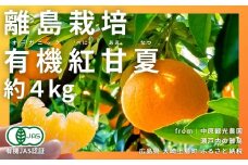 [予約] 2〜3月発送 オーガニック紅甘夏 約4kg 国産 有機JAS認証 瀬戸内 広島 大崎上島 離島 有機栽培 柑橘 果物 オーガニック フルーツ ギフト 防腐剤不使用 ワックス不使用 無添加 安全 安心 送料無料 産地直送 中原観光農園