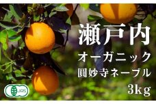 [予約] オーガニック圓妙寺ネーブル 約3kg 国産 有機JAS認証 瀬戸内 広島 大崎上島 離島 有機栽培 柑橘 果物 オーガニック フルーツ ギフト 防腐剤不使用 ワックス不使用 無添加 安全 安心 送料無料 産地直送 中原観光農園