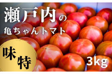 [1〜7月発送] 亀ちゃんトマト味特 約3kg 糖度8度超 瀬戸内 広島 濃厚 トマト 産地直送 亀田農園