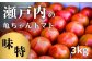 大人気『亀ちゃんトマト』の中から糖度8度以上だけの実を厳選！