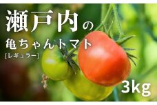 [1〜7月発送] 亀ちゃんトマト レギュラー 約3kg 瀬戸内 広島 濃厚 トマト 産地直送 亀田農園