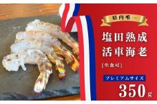 【NHK うまいッ！で紹介】[予約] 11〜2月発送 生食可 塩田熟成 活車海老 プレミアムサイズ 350g ギフト 贈答 化粧箱 国産 海老 えび 刺身 エビフライ 広島県 大崎上島 瀬戸内 離島 新鮮 送料無料 産地直送 ファームスズキ