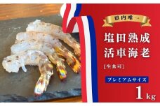 【NHK うまいッ！で紹介】[予約] 11〜2月発送 生食可 塩田熟成 活車海老 プレミアムサイズ 1kg ギフト 贈答 化粧箱 国産 海老 えび 刺身 エビフライ 広島県 大崎上島 瀬戸内 離島 新鮮 送料無料 産地直送 ファームスズキ