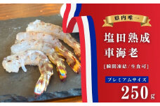 【NHK うまいッ！で紹介】生食可 塩田熟成車海老 プレミアムサイズ 250g 瞬間凍結 ギフト 贈答 化粧箱 国産 海老 えび 刺身 エビフライ 広島県 大崎上島 瀬戸内 離島 新鮮 送料無料 産地直送 ファームスズキ
