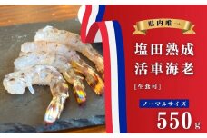 【NHK うまいッ！で紹介】[予約] 11〜2月発送 生食可 塩田熟成 活車海老 ノーマルサイズ 550g ギフト 贈答 化粧箱 国産 海老 えび 刺身 エビフライ 広島県 大崎上島 瀬戸内 離島 新鮮 送料無料 産地直送 ファームスズキ