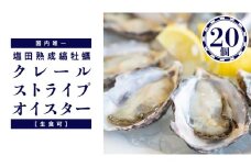 濃厚 牡蠣 20個 （ 約25〜40g/1個 ） 塩田熟成縞牡蠣 クレールストライプオイスター （ 11～5月出荷 ) 生食可 NHK うまいッ！で紹介 熟成 養殖広島 大崎上島 瀬戸内 せとうち 離島 国産 かき カキ ギフト 送料無料 産地直送 ファームスズキ