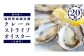 【大崎上島産】 塩田熟成の牡蠣 クレールストライプオイスター20個（生食）