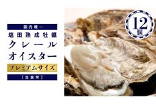 濃厚 大粒 牡蠣 12個 (約100g～140g/1個) 塩田熟成牡蠣 クレールオイスター ( 11～5月出荷 ) プレミアムサイズ 生食可 NHK うまいッ！で紹介 牡蠣 濃厚 熟成 養殖広島 大崎上島 瀬戸内 せとうち 離島 国産 かき カキ ギフト 産地直送 ファームスズキ