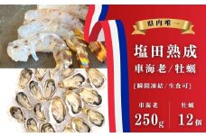 【NHK うまいッ！で紹介】生食可 塩田熟成車海老/牡蠣セット 車海老約250g/牡蠣12個 瞬間凍結 海老 えび 刺身 エビフライ 牡蠣 濃厚 熟成 養殖広島 大崎上島 瀬戸内 せとうち 離島 国産 かき カキ ギフト 送料無料 産地直送 ファームスズキ