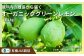 大崎上島産 有機JAS認証！オーガニックグリーンレモン 約1kg