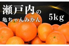 [11～2月発送] 瀬戸内の亀ちゃん みかん 約5kg 国産 瀬戸内 広島 大崎上島 離島 糖度 濃厚 柑橘 たっぷり お裾分け 産地直送 亀田農園