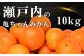糖度が高くて味が濃い！亀ちゃんみかん約10kg