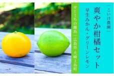 早生みかん グリーンレモン 詰め合わせ 約4kg 11月頃発送予定 広島県 大崎上島町 瀬戸内 離島 果物 フルーツ 柑橘 みかん レモン 檸檬 爽やか 送料無料 産地直送