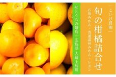 石地みかん 普通温州みかん レモン 詰め合わせ 約4kg 12月頃発送予定 こいけ農園 広島県 大崎上島町 瀬戸内 離島 濃厚 果物 フルーツ 柑橘 みかん レモン 檸檬 送料無料 産地直送