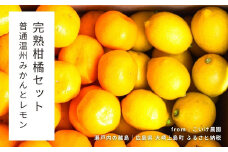 [予約] 1〜2月発送 大崎上島産 完熟柑橘セット 普通温州みかん/レモン 約4kg