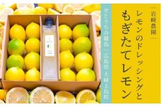[予約] 1〜3月発送 大崎上島産 レモンのドレッシング＆生果レモン約1kgのギフトセット