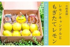 [予約] 1〜3月発送 大崎上島産 プレゼントにおすすめ！レモン&キャンドルのギフトセット
