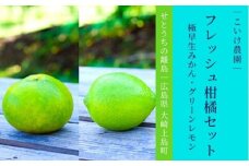 [予約] 10月発送 大崎上島産 フレッシュ柑橘セット 極早生みかん/グリーンレモン 約4kg