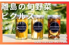 離島の旬野菜ピクルス〈Ken's Pickles〉3本セット [大崎上島産野菜使用]