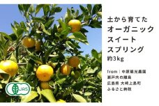 オーガニック スイートスプリング 約3kg 2〜3月発送 国産 有機JAS認証 瀬戸内 広島 大崎上島 離島 有機栽培 柑橘 果物 オーガニック フルーツ ギフト 防腐剤不使用 ワックス不使用 無添加 送料無料 産地直送 中原観光農園