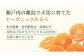 タイベックシートを使用したマルチ栽培を導入し、自然の力を最大限に活かしたみかんづくり