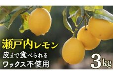 せとうちレモン 約3kg 12～1月発送 瀬戸内 国産 レモン 瀬戸内レモン 檸檬 柑橘 防腐剤 ワックス 不使用 皮まで丸ごと食べられる 広島県 大崎上島町 離島 産地直送 岩﨑農園