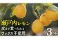 ｜予約｜1〜2月発送予定｜大崎上島産 皮まで丸ごと食べられる！もぎたてレモン約3kg