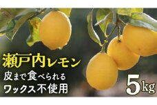 せとうちレモン 約5kg 12～1月発送 瀬戸内 国産 レモン 瀬戸内レモン 檸檬 柑橘 防腐剤 ワックス 不使用 皮まで丸ごと食べられる 広島県 大崎上島町 離島 産地直送 岩﨑農園