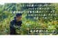 ｜予約｜12〜1月発送予定｜大崎上島産 皮まで丸ごと食べられる！もぎたてレモン約5kg
