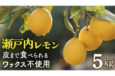 せとうちレモン 約5kg 1～2月発送 瀬戸内 国産 レモン 瀬戸内レモン 檸檬 柑橘 防腐剤 ワックス 不使用 皮まで丸ごと食べられる 広島県 大崎上島町 離島 産地直送 岩﨑農園