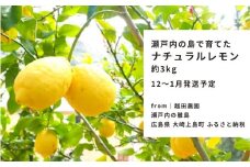 [予約] 12〜1月発送 瀬戸内の島で育てた 広島 レモン 約3kg 越田農園 国産 大崎上島 離島 クエン酸 ビタミンC 健康 免疫力向上