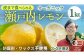 2〜3月発送予定｜瀬戸内の離島から届く 土で育つ オーガニックレモン 約1kg 
