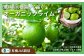｜予約｜大崎上島産 有機JAS認証！オーガニックライム 約1kg