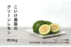 グリーンレモン 約3kg 9-11月頃発送予定 こいけ農園 広島県 大崎上島町 瀬戸内 離島 果物 フルーツ 柑橘 レモン 檸檬 爽やか ギフト 送料無料 産地直送