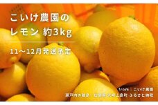 レモン 約3kg 11〜12月発送予定 瀬戸内レモン 国産 瀬戸内 広島 大崎上島 離島 こいけ農園 れもん 檸檬 健康 健康志向 生搾り レモンサワー レモンスカッシュ レモネード クエン酸 ビタミンC