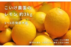 レモン 約3kg 1〜3月発送予定 瀬戸内レモン 国産 瀬戸内 広島 大崎上島 離島 こいけ農園 れもん 檸檬 健康 健康志向 生搾り レモンサワー レモンスカッシュ レモネード クエン酸 ビタミンC