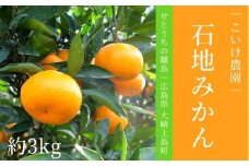 石地みかん 約3kg 12～1月発送 こいけ農園 瀬戸内 広島 大崎上島 離島 柑橘 蜜柑 いしじみかん ミカン 露地栽培 果物 フルーツ 贈答用 ギフト 送料無料 産地直送