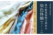 島の色に染めてみよう！大崎上島の野菜果物染め体験ペア利用（ストール）
