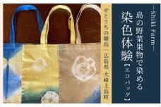 島の色に染めてみよう！大崎上島の野菜果物染め体験ペア利用（エコバッグ）