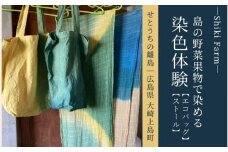 島の色に染めてみよう！大崎上島の野菜果物染め体験ペア利用（ストール＆エコバッグ）
