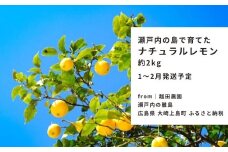 [予約] 1〜2月発送 瀬戸内の島で育てた広島レモン 約2kg 越田農園 国産 大崎上島 離島 クエン酸 ビタミンC 健康 免疫力向上
