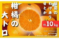[予約] 3月発送 瀬戸内わけありせとか約10kg 糖度14度 国産 せとうち 広島 大崎上島 柑橘 訳あり 果物 フルーツ 産地直送 141Lemon