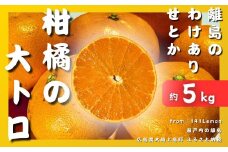 [予約] 3月発送 瀬戸内わけありせとか約5kg 糖度14度 国産 せとうち 広島 大崎上島 柑橘 訳あり 果物 フルーツ 産地直送 141Lemon