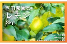 [3~4月発送] 瀬戸内レモン 約3kg(30個程度) 国産 せとうち 広島 大崎上島 離島 柑橘 果物 檸檬 フルーツ ギフト 無添加 安全 安心 送料無料 産地直送 西田農園