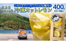 冷凍 カットレモン 8袋入 ( 約3～4個分 ) 瀬戸内レモン 小分け 141Lemon セット 真空パック 瞬間冷凍 瞬間凍結 広島県 大崎上島町 瀬戸内 離島 国産 果物 フルーツ 檸檬 れもん ギフト 送料無料 産地直送 レモンサワー 濃いめ ダブルレモン 焼酎 ハイボール