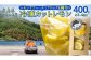 レモンサワーにあう冷凍カットレモン 小分け8袋入[計400g程度] 広島県大崎上島産レモン使用