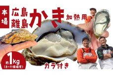 [12〜2月発送] 広島の離島から届く牡蠣 約1kg (加熱用) 8〜11個程度 先行予約 ナイフ・軍手付き 牡蠣 殻付き かき 牡蠣 殻付 広島産 カキ 牡蠣 バーベキューBBQ  瀬戸内 大崎上島