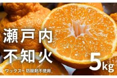 [予約] 2〜4月発送 瀬戸内の不知火 5kg(12〜18個程度) 国産 瀬戸内 せとうち 広島 大崎上島 離島 濃厚 甘い 柑橘 しらぬい デコポン ワックス不使用 防腐剤不使用