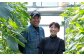 不知火のコクのある味わいをぜひお楽しみください。（越田農園・越田 賢一、久子）