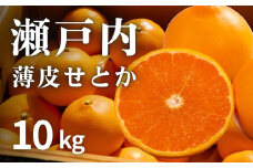 [予約] 2月発送 濃厚! 果汁たっぷり薄皮ハウスせとか 約10kg(35個程度)　広島県 大崎上島町 瀬戸内 柑橘 果物 フルーツ 贈答 ギフト